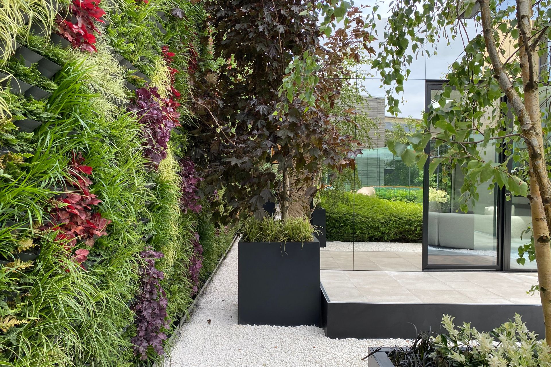 Living Wall on left hand side and feature trees