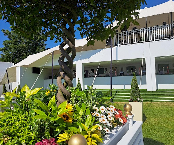 event bench with spiral large bay tree in the middle