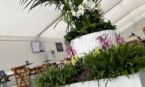 Cheltenham Festival feature planting