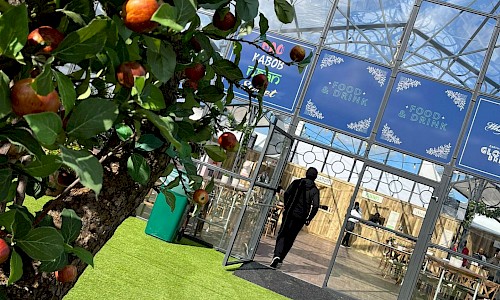 Cheltenham Festival artificial apple tree infront of glass building